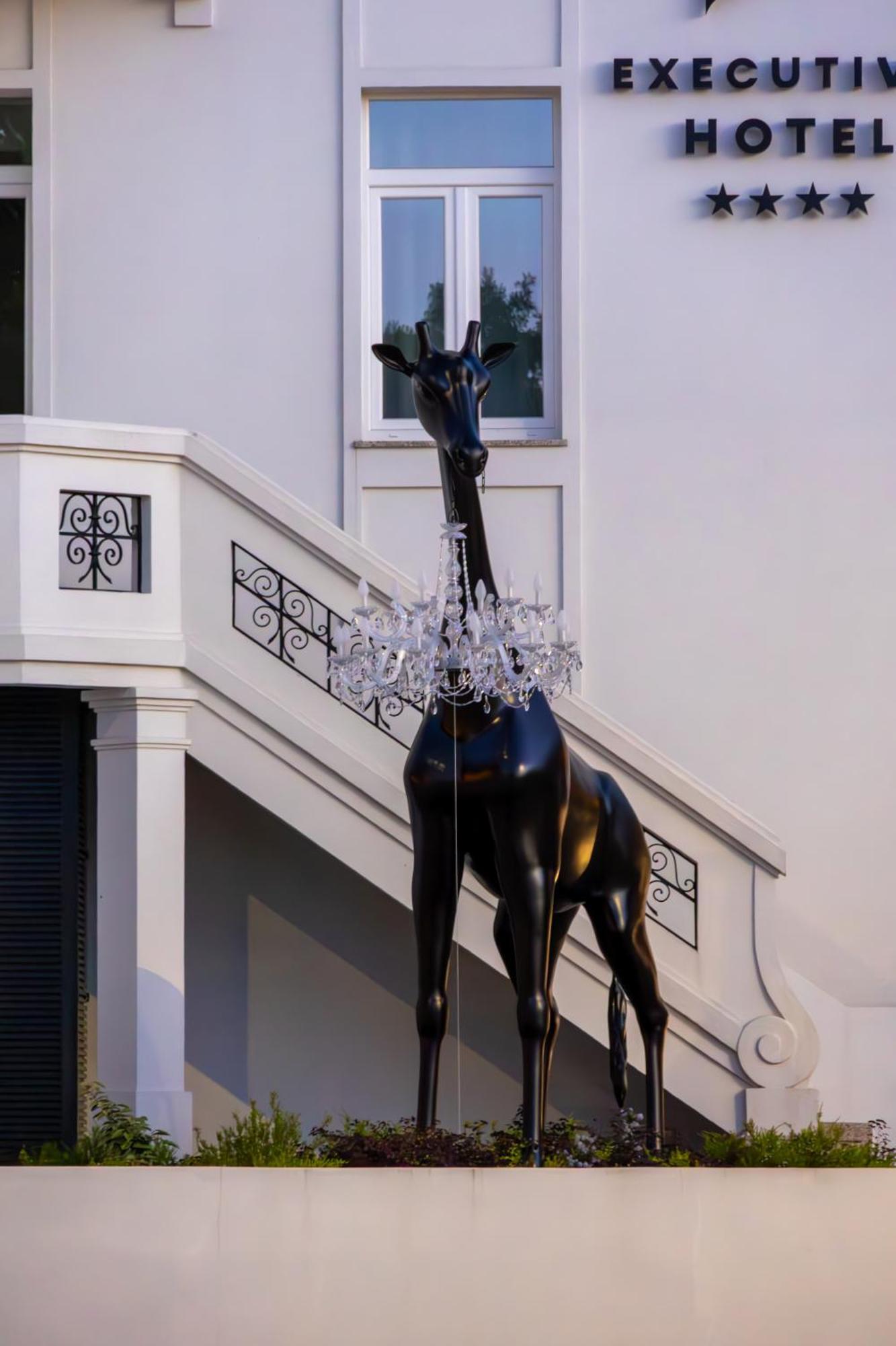 Viseu Executive Hotel Kültér fotó